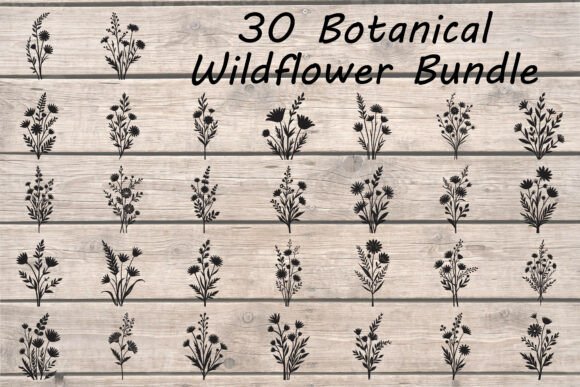 Download Botanical Wildflower Bundle - Bundle Collection